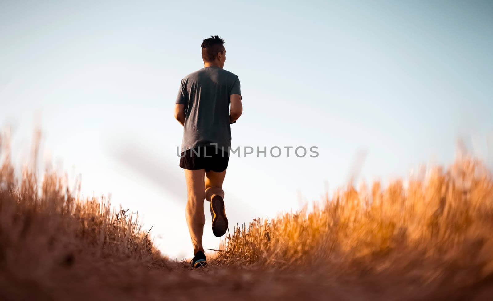 A young man jogging in the early morning at dawn, an athlete runs along the road through a wheat field.