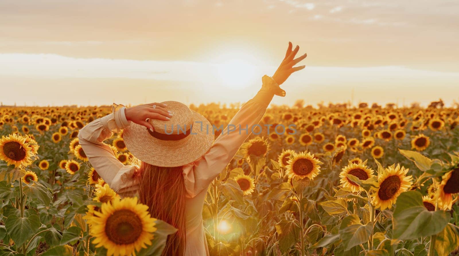 Woman in the sunflowers field. Summer time. Young beautiful woman standing in sunflower field.