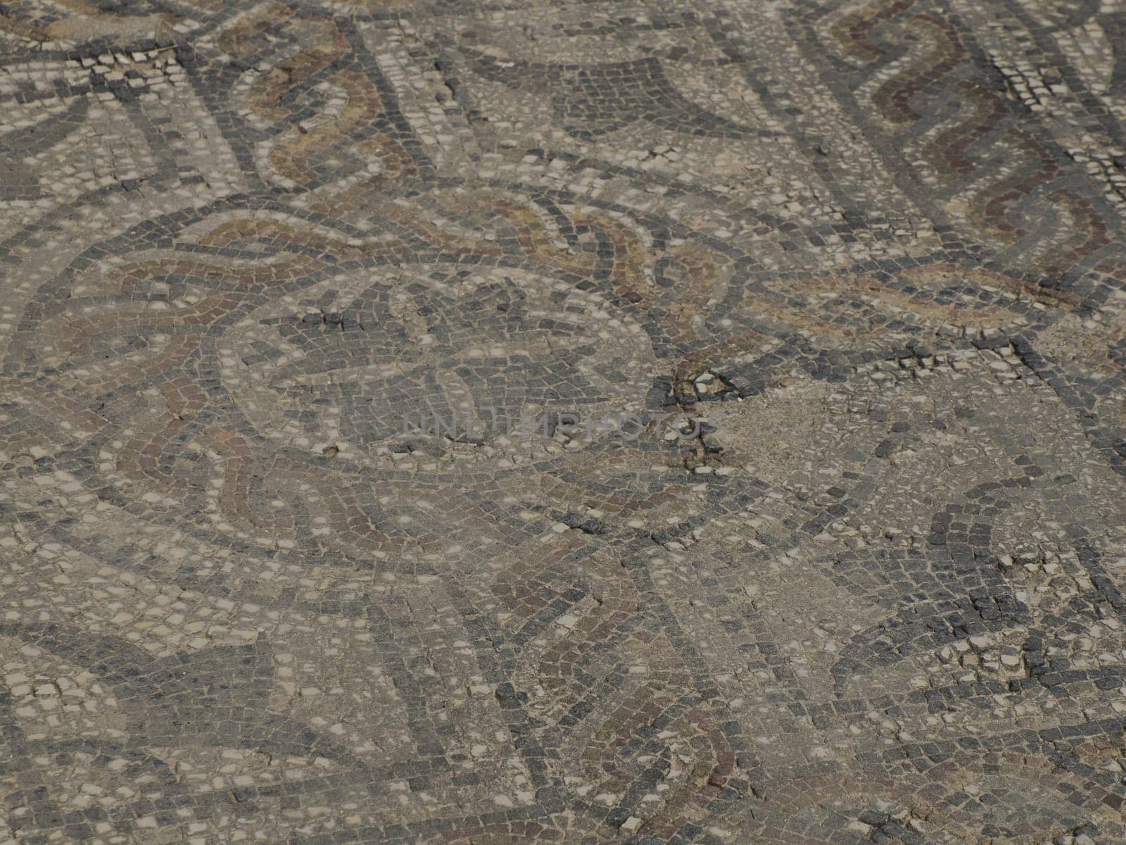 mosaic in Volubilis Roman ruins in Morocco- Best-preserved Roman ruins located between the Imperial Cities of Fez and Meknes by AndreaIzzotti