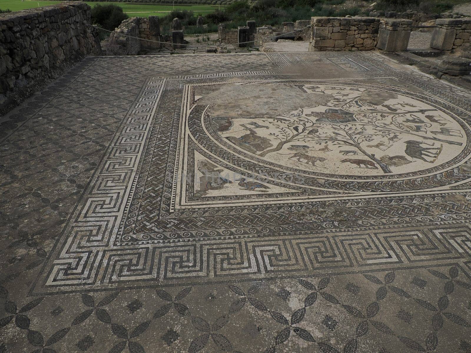 mosaic in Volubilis Roman ruins in Morocco- Best-preserved Roman ruins located between the Imperial Cities of Fez and Meknes by AndreaIzzotti