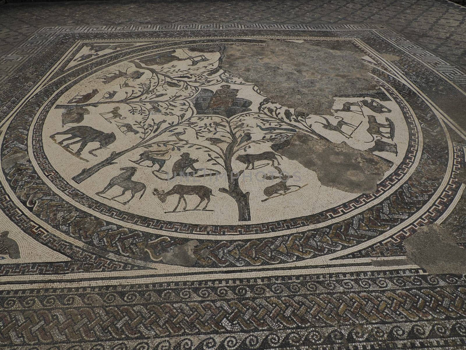 Mosaic of Volubilis Roman ruins in Morocco- Best-preserved Roman ruins located between the Imperial Cities of Fez and Meknes on a fertile plain surrounded by wheat fields.
