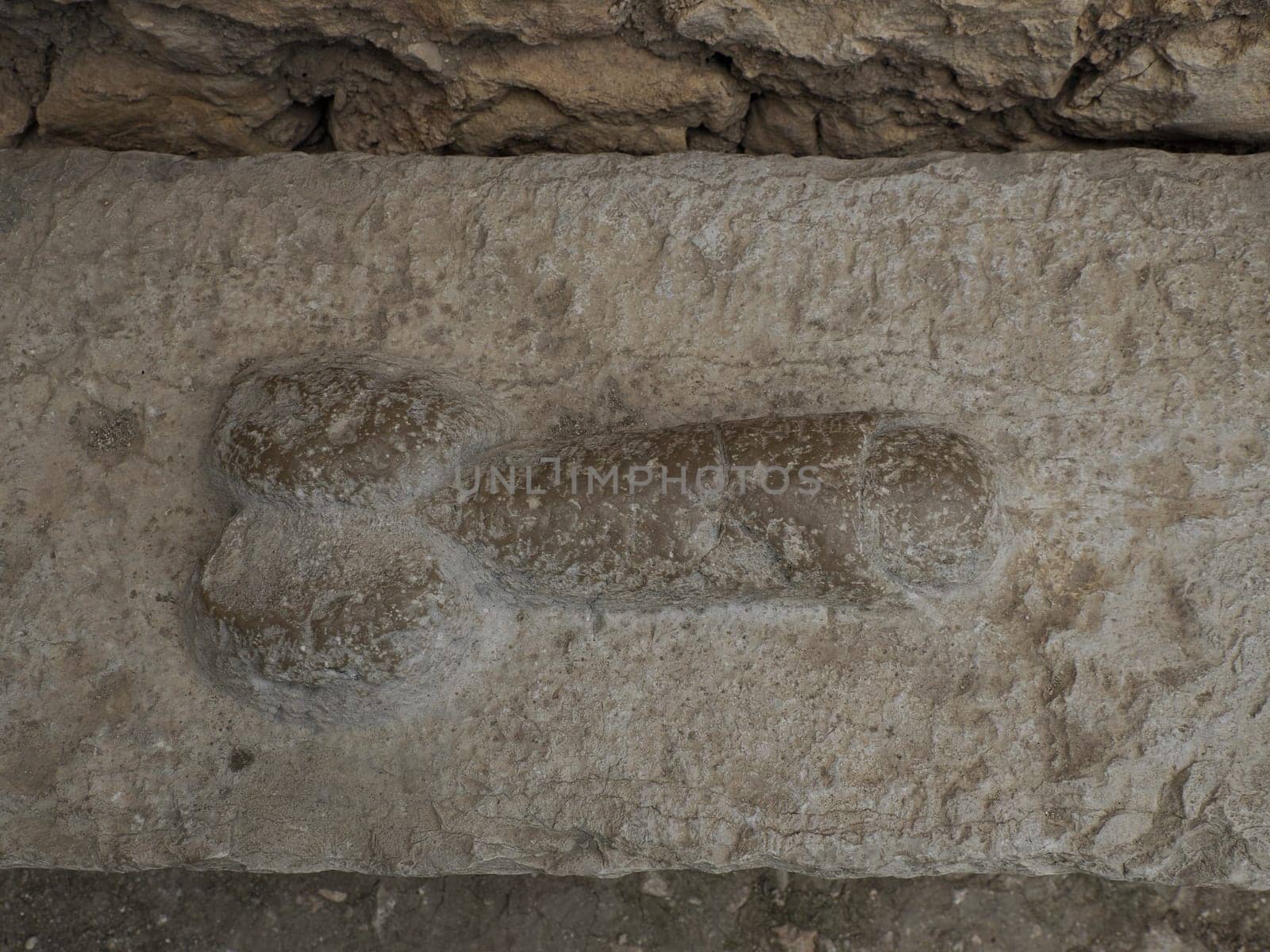 brothel penis sign at Volubilis Roman ruins in Morocco- Best-preserved Roman ruins located between the Imperial Cities of Fez and Meknes on a fertile plain