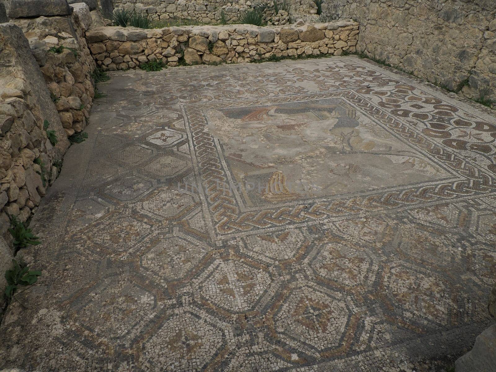 Mosaic of Volubilis Roman ruins in Morocco- Best-preserved Roman ruins located between the Imperial Cities of Fez and Meknes on a fertile plain surrounded by wheat fields.