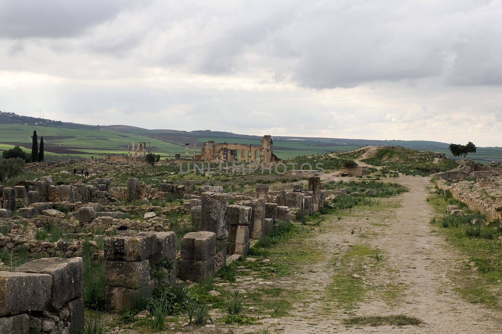 Volubilis Roman ruins in Morocco- Best-preserved Roman ruins located between the Imperial Cities of Fez and Meknes by AndreaIzzotti