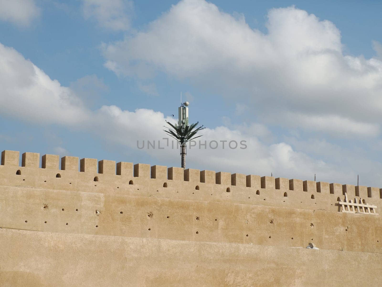 Storks nest installed on a telecommunication antenna tower in Morocco