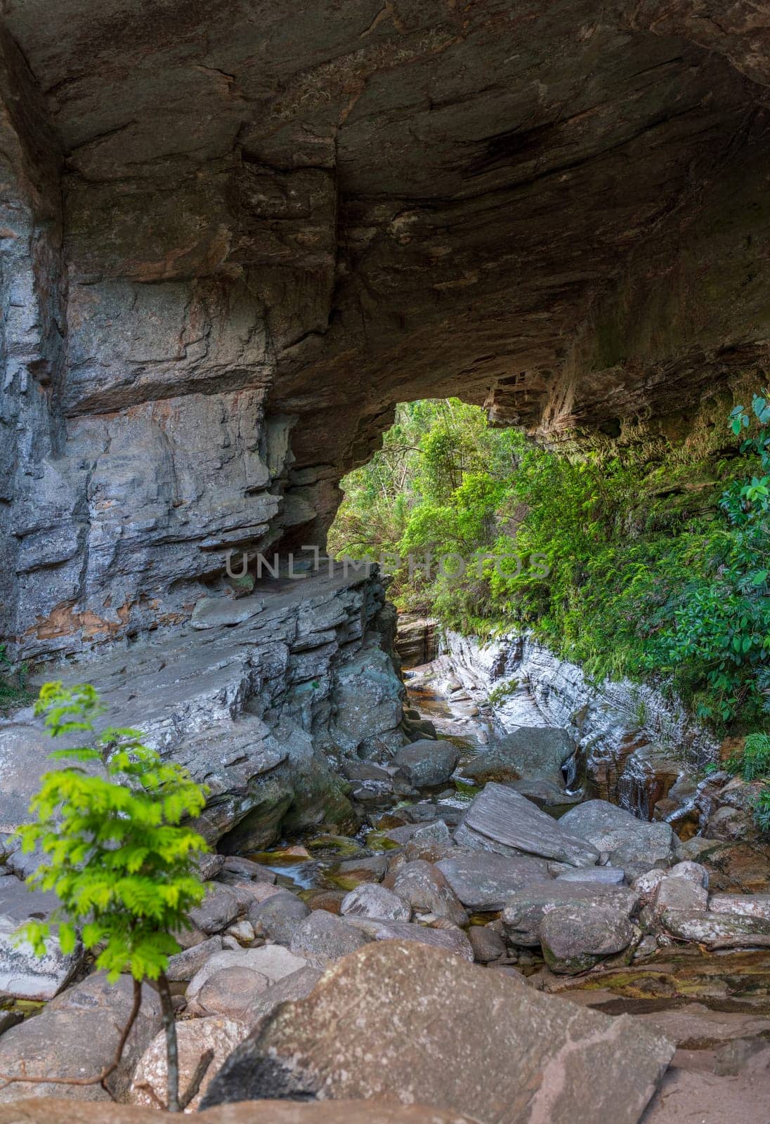 Serene Natural Rock Cave Overlooking a Forest Stream by FerradalFCG