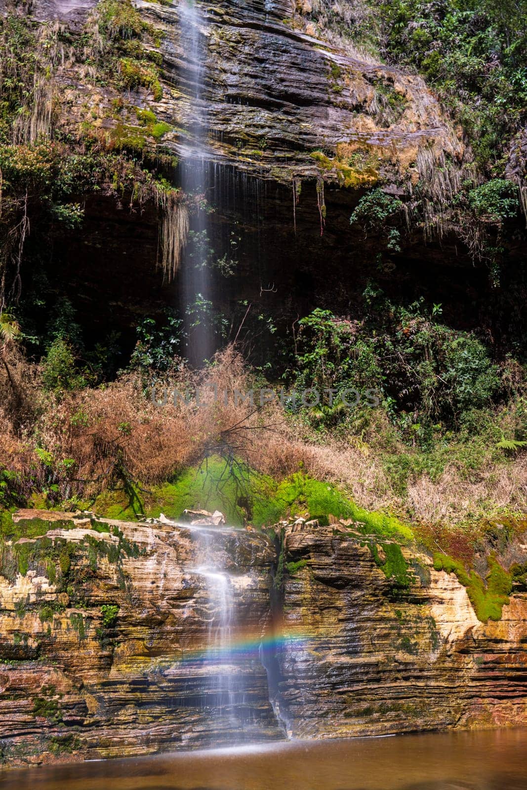 A tranquil waterfall with mossy rocks creates a rainbow in a lush environment.