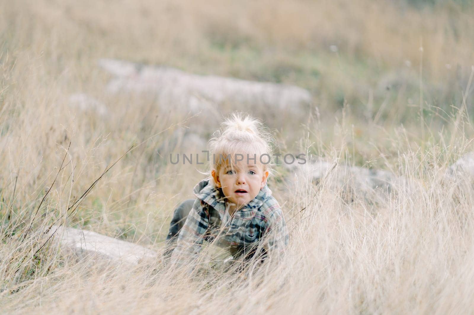 Little girl crawling in tall dry grass by Nadtochiy