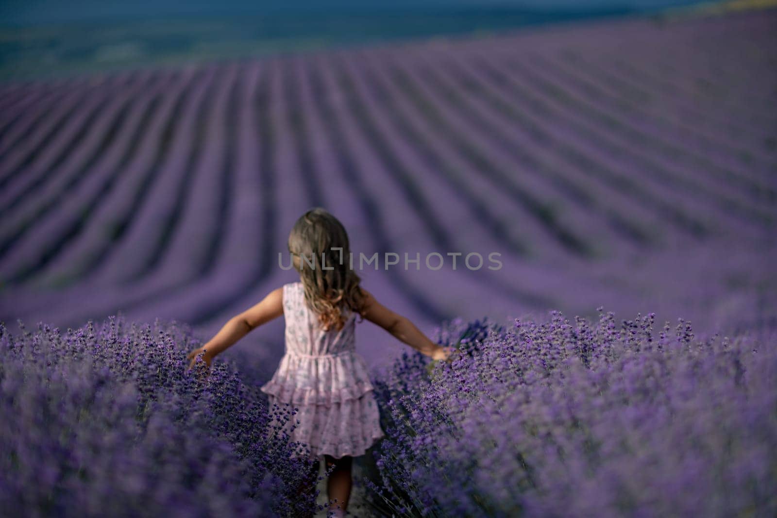Lavender field girl. Back view happy girl in pink dress with flowing hair runs through a lilac field of lavender. Aromatherapy travel.