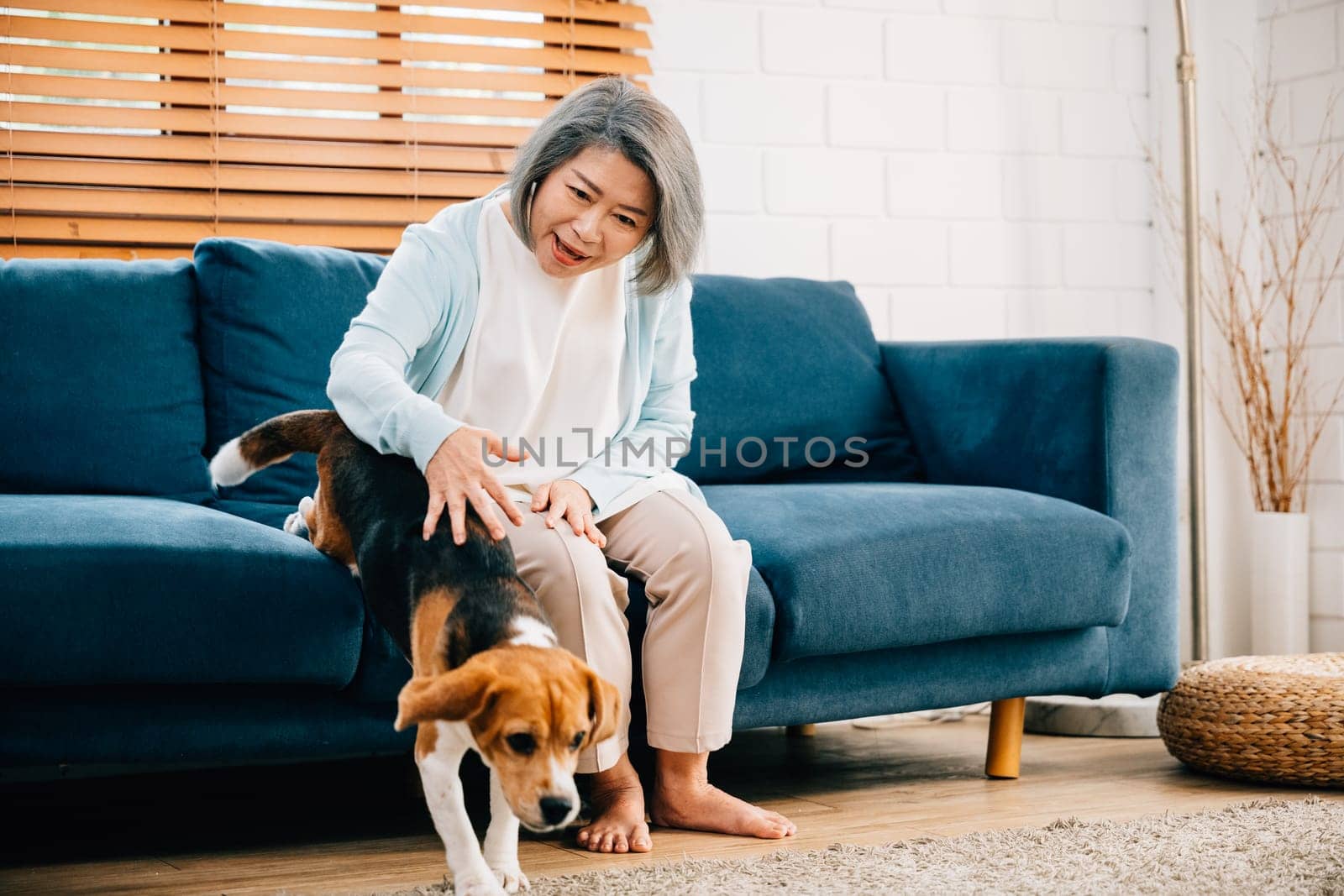 A portrait of love and joy, An elderly woman and her Beagle puppy share a heartwarming moment in their living room. Their friendship and smiles illuminate the room, creating a haven of happiness.