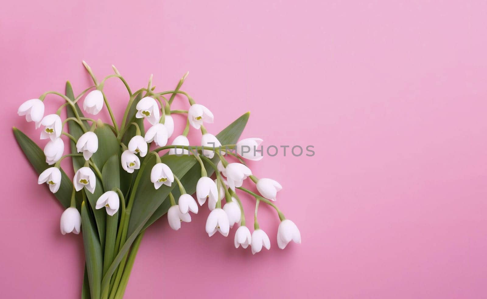 Bouquet of white snowdrops on a pink background. Background for cards and banners. Copy space. Spring holiday background. by kizuneko