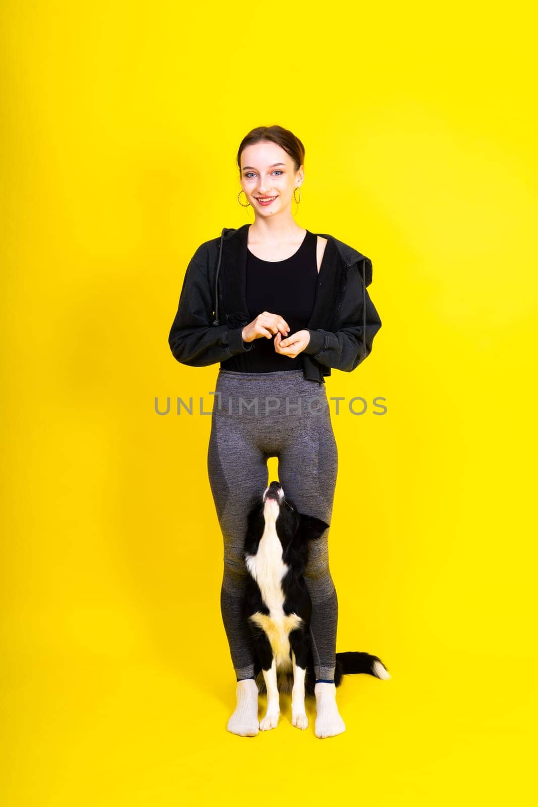 Woman with cute dog border collie is in a studio. Sport with pet