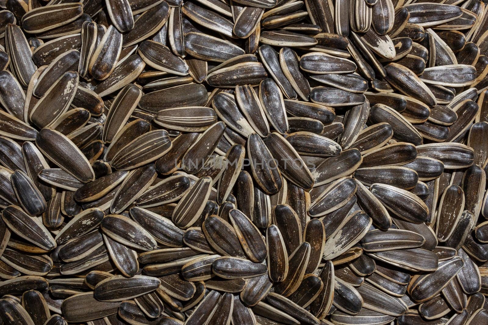 Non Salty Roasted Sunflower Seeds in Shell by InfinitumProdux