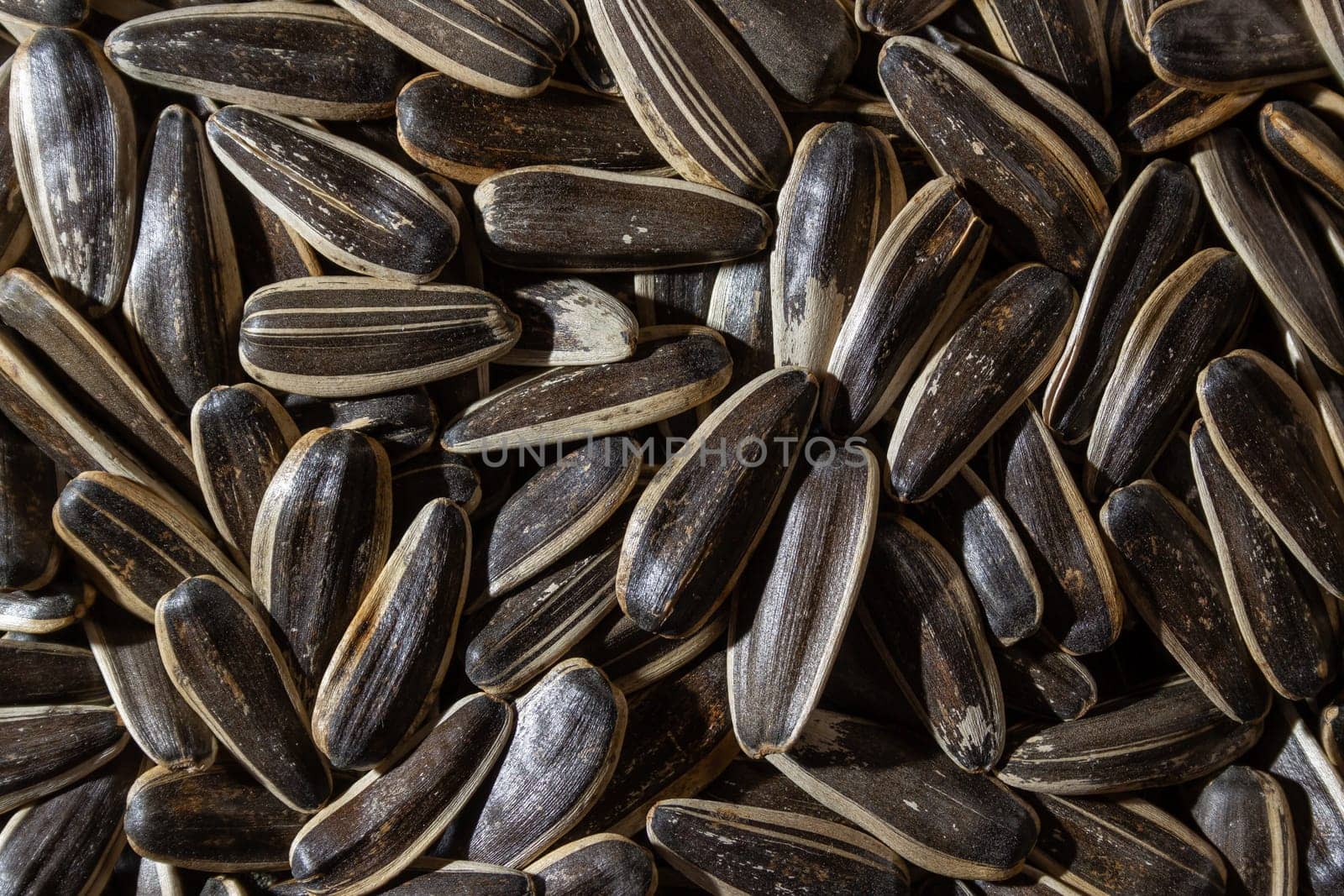 Non Salty Roasted Sunflower Seeds in Shell: A Culinary Canvas of Sunflower Kernels, Creating a Lively and Textured Background for Gourmet Cooking. Scattered Sun Flower Seeds - Top View, Flat Lay