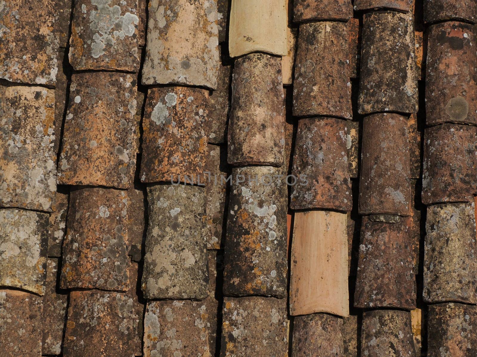 red tiles roof detail of Dubrovnik Croatia medieval town