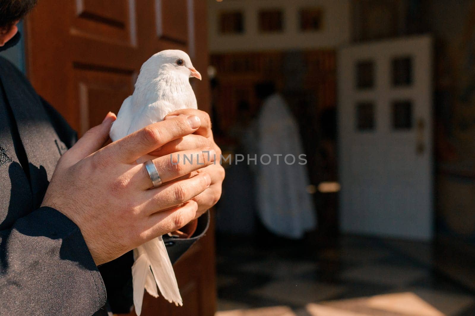 White dove in hands ready to be released into the sky after a wedding ceremony in an Orthodox Christian church by Rom4ek