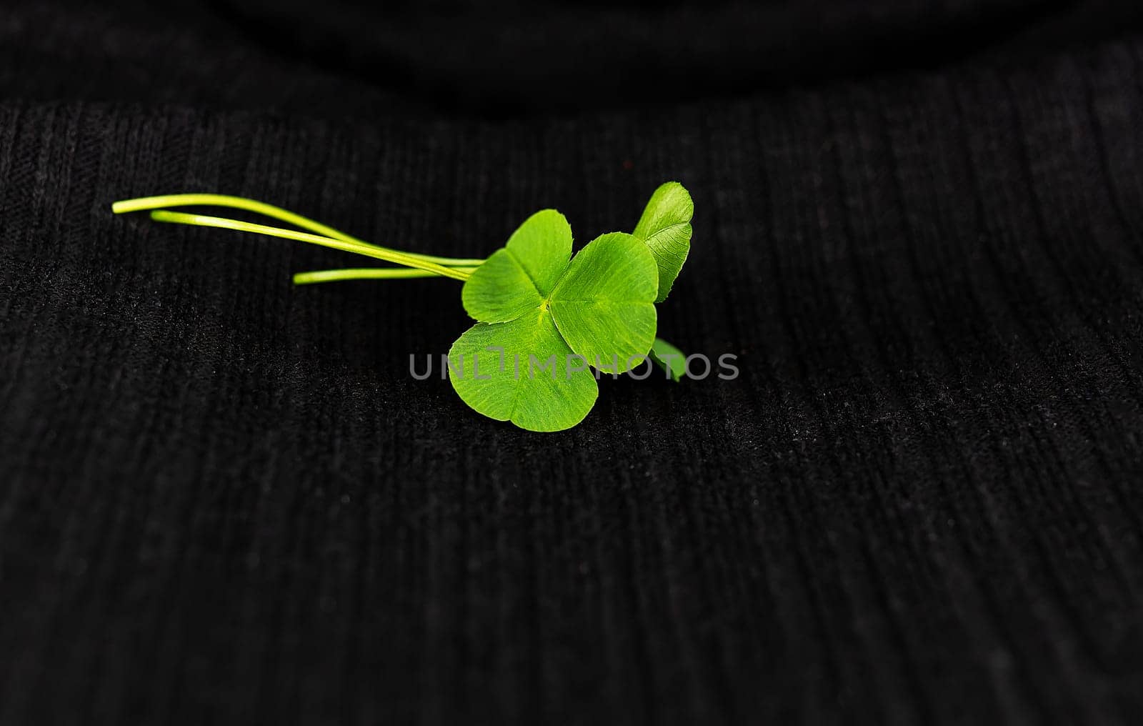 This image features a vibrant green four-leaf clover lying on a dark, textured surface. Clover symbolizes luck and good fortune