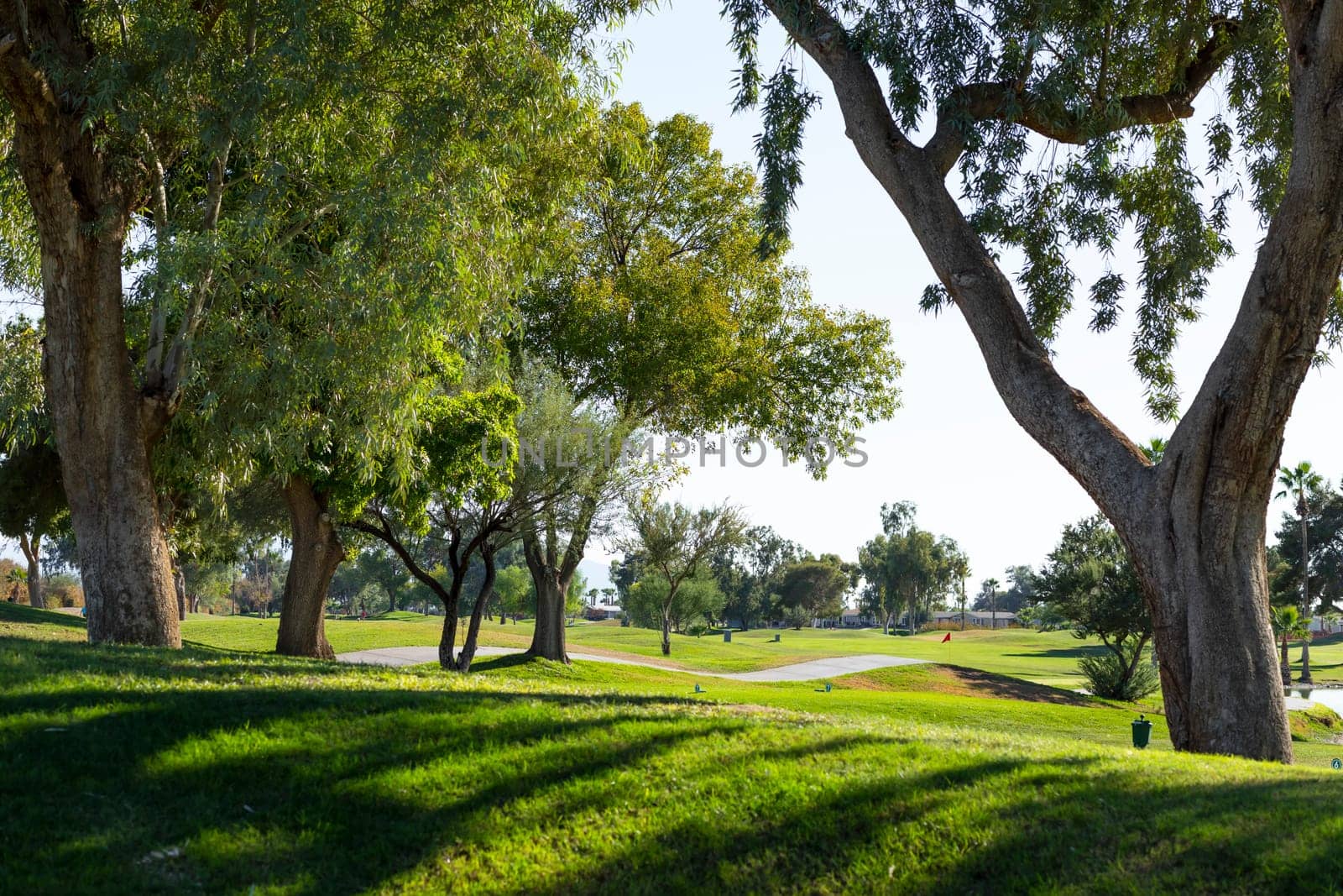 Beautiful View Of A Golf Court With Path, Freshly Cut Lawn, Green Tall Trees, Shadows And Blue Sky. Nobody. Nice Scenic Park. United States. Horizontal Plane by netatsi