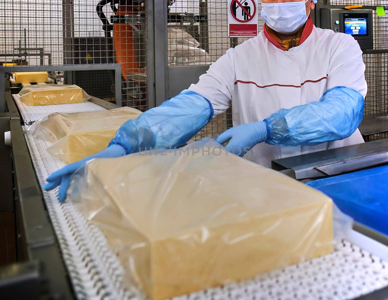 Two workers start making blocks of cheese in a factory. Worker on a cheese production line.