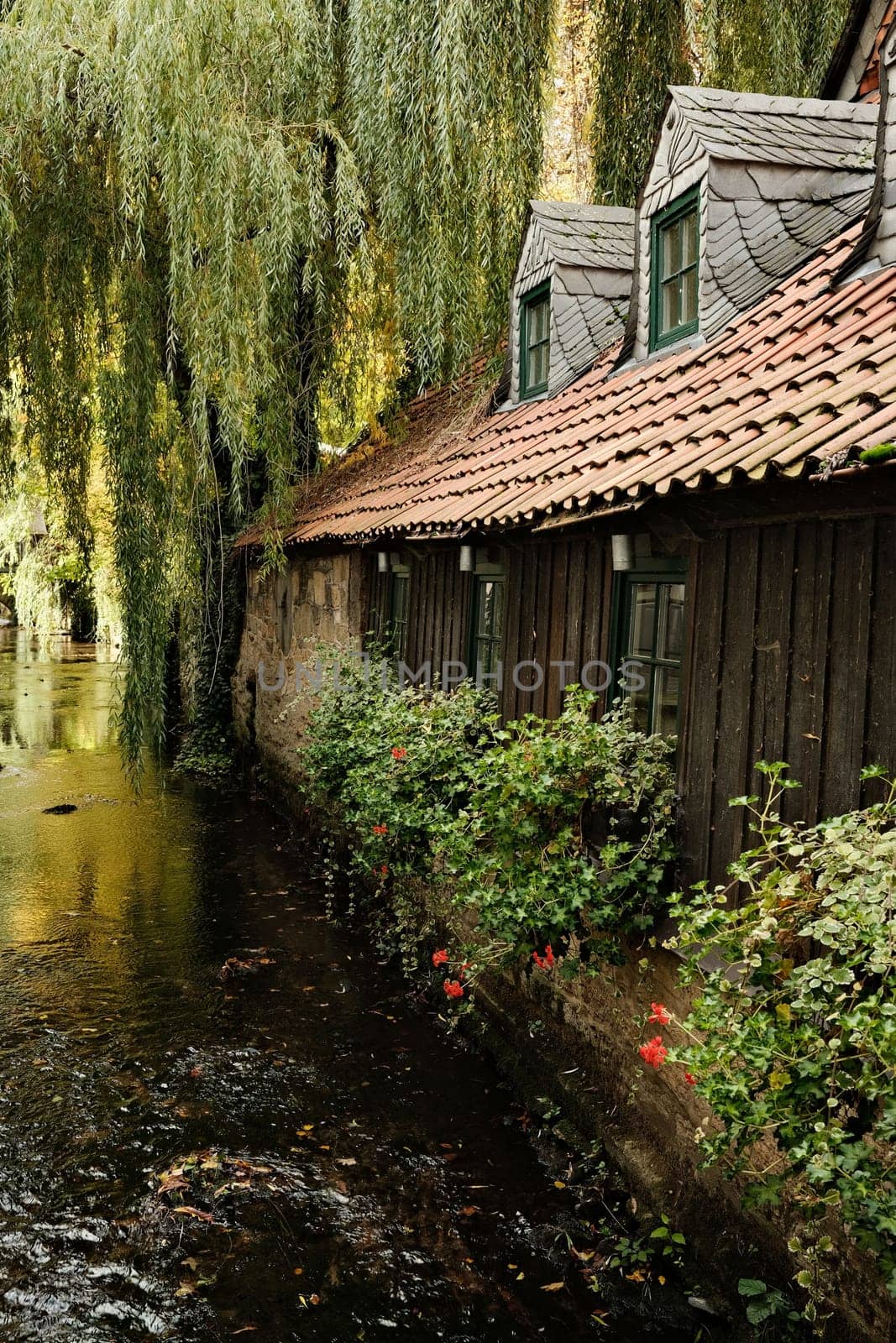 Vertical shot of a wooden medieval house with flowers by a pond in Goslar, Germany