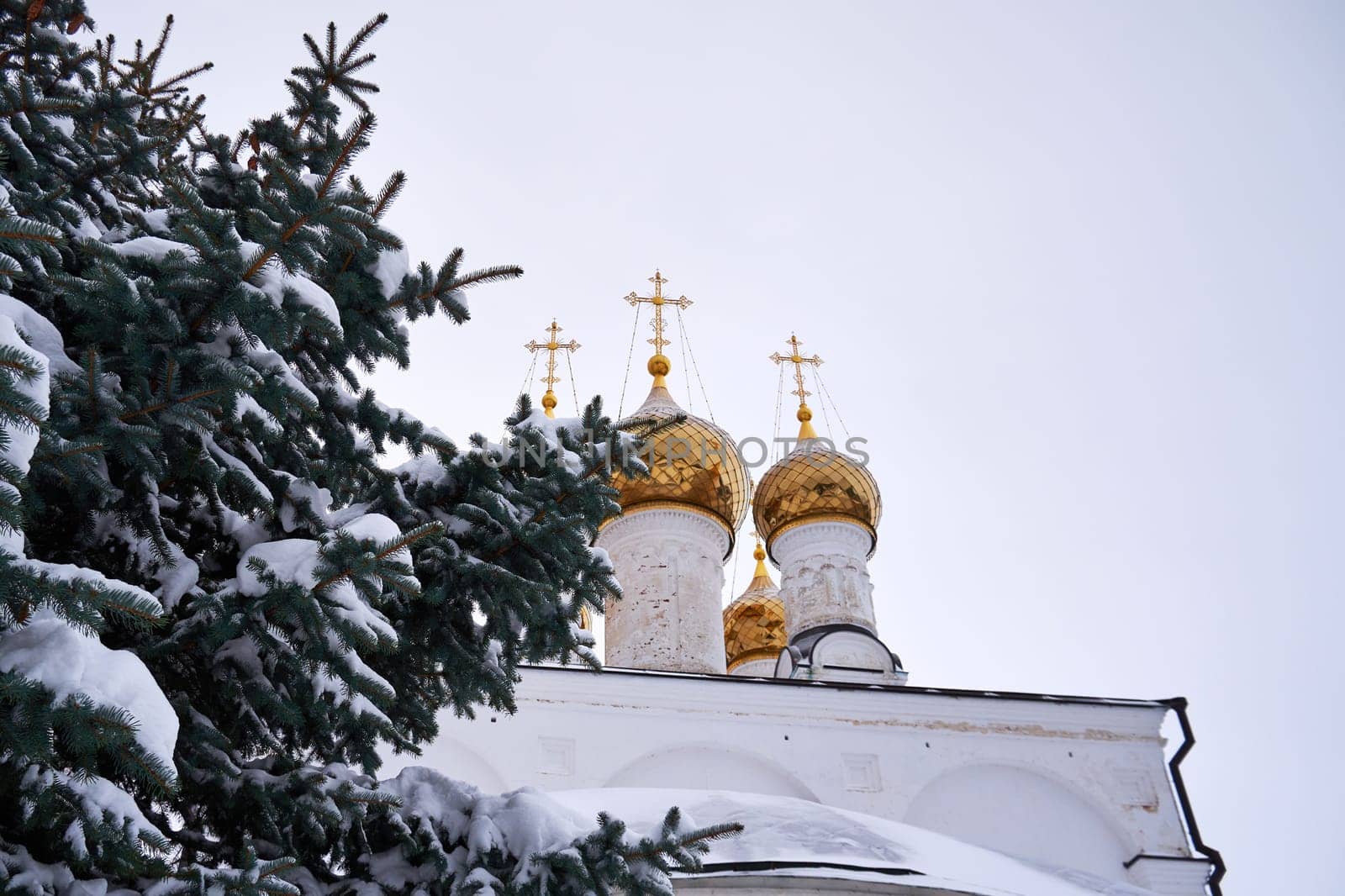 Fir branches covered with snow against the backdrop of an Orthodox Russian church with golden domes