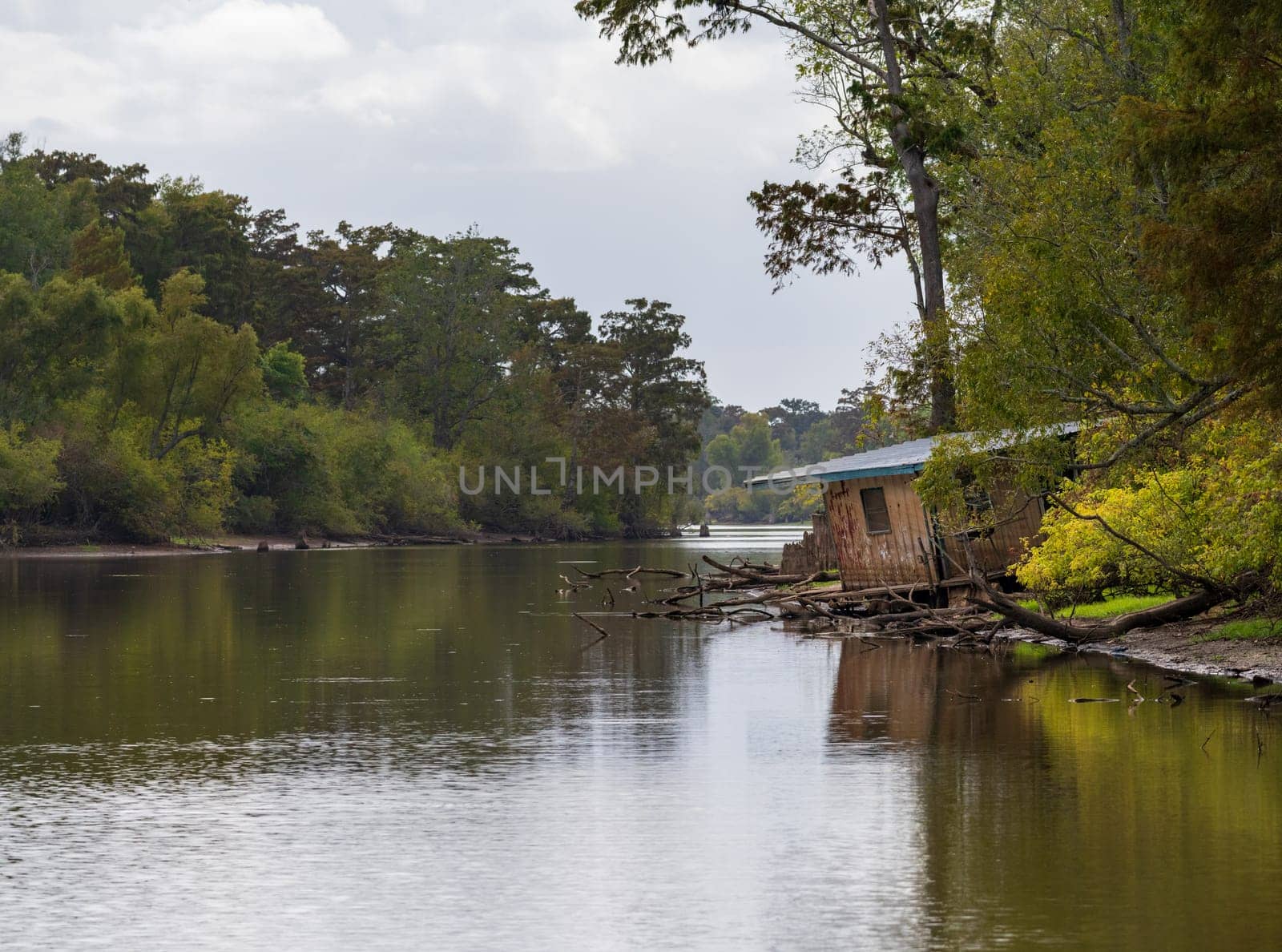 Abandoned cabin sinks into the water on the banks of Atchafalaya basin by steheap