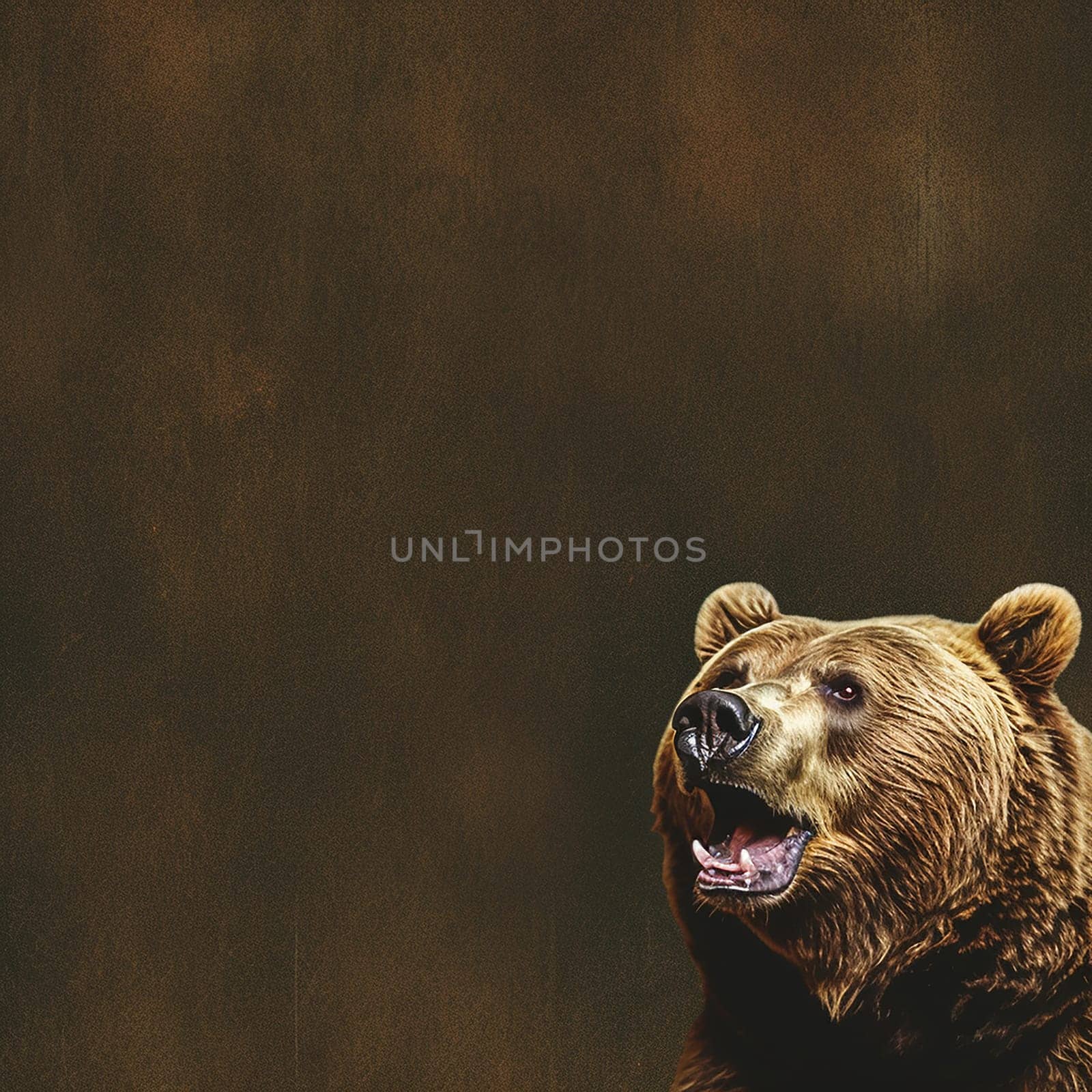 A photo of a brown bear with open month, teeth fangs, wild animal, brown background