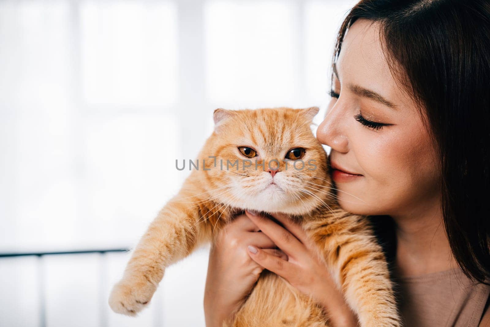 A woman's tender moment with her adorable long-haired kitty, an orange Scottish Fold cat. It emphasizes the special connection between them in a comfortable home setting.