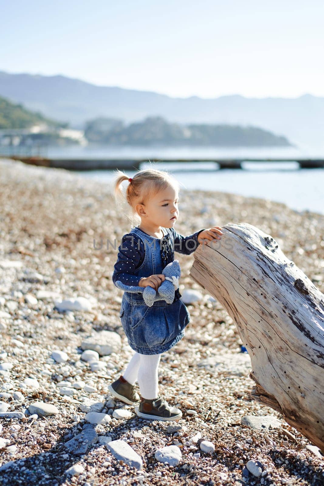 Little girl with a toy stands near a driftwood with her hand on it. Side view. High quality photo