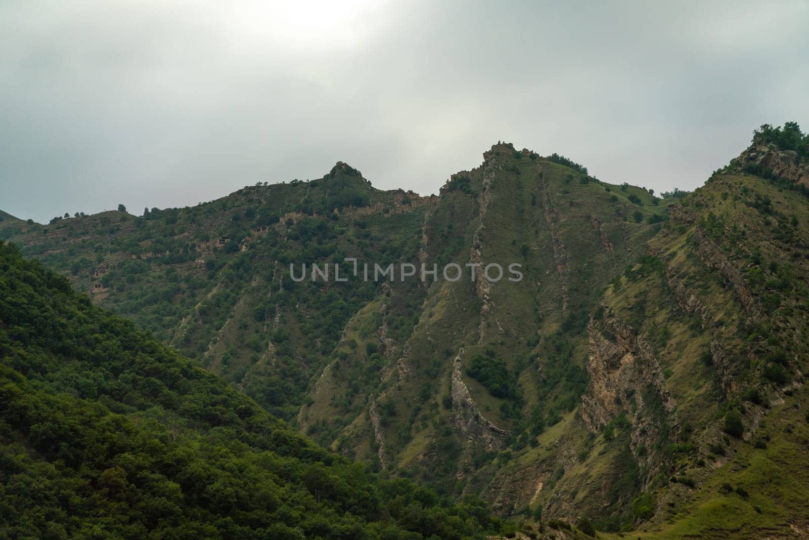 Caucasian mountain. Dagestan. Trees, rocks, mountains, view of the green mountains. Beautiful summer landscape