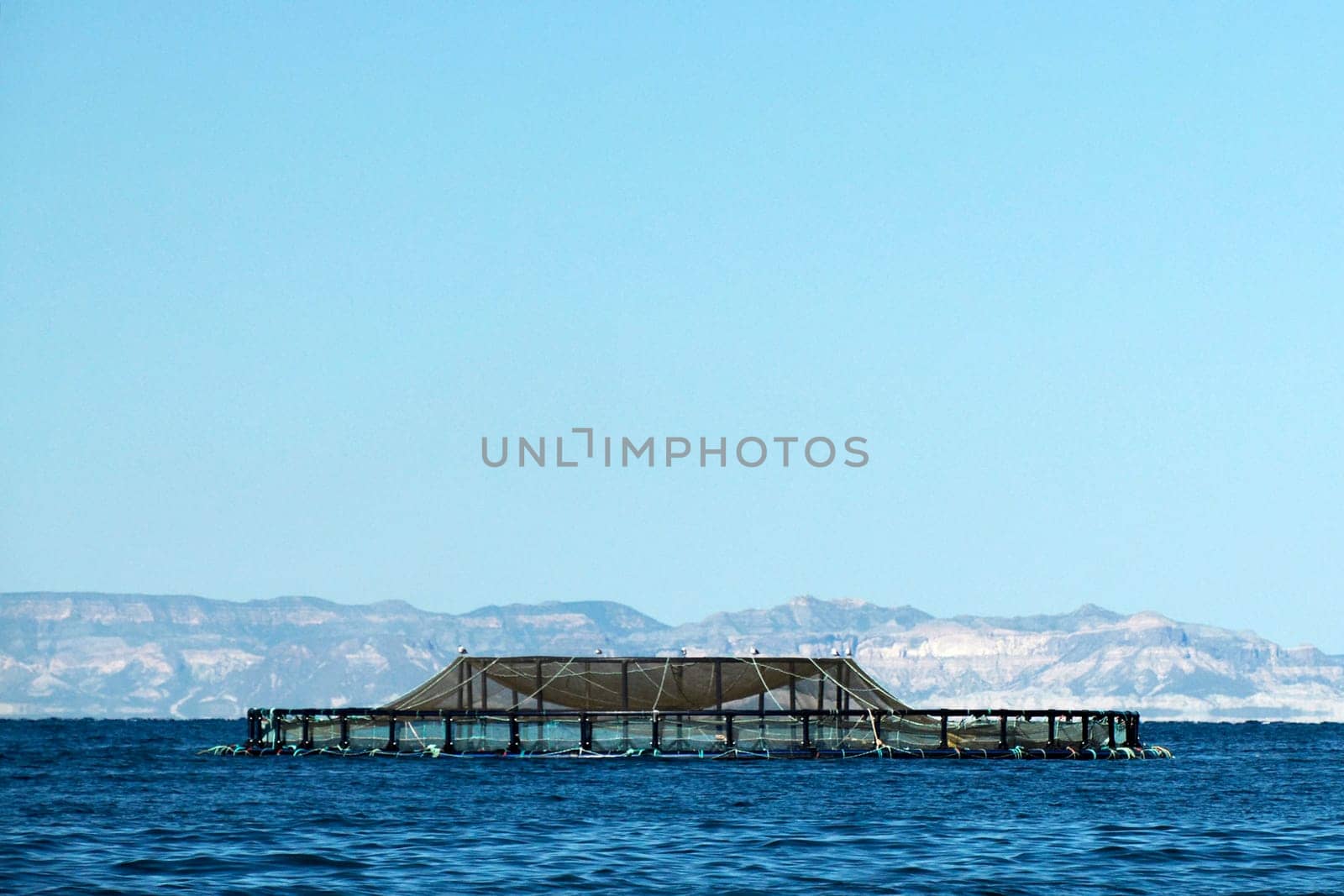 Fish farm in cortez sea baja california sur landscape from boat by AndreaIzzotti