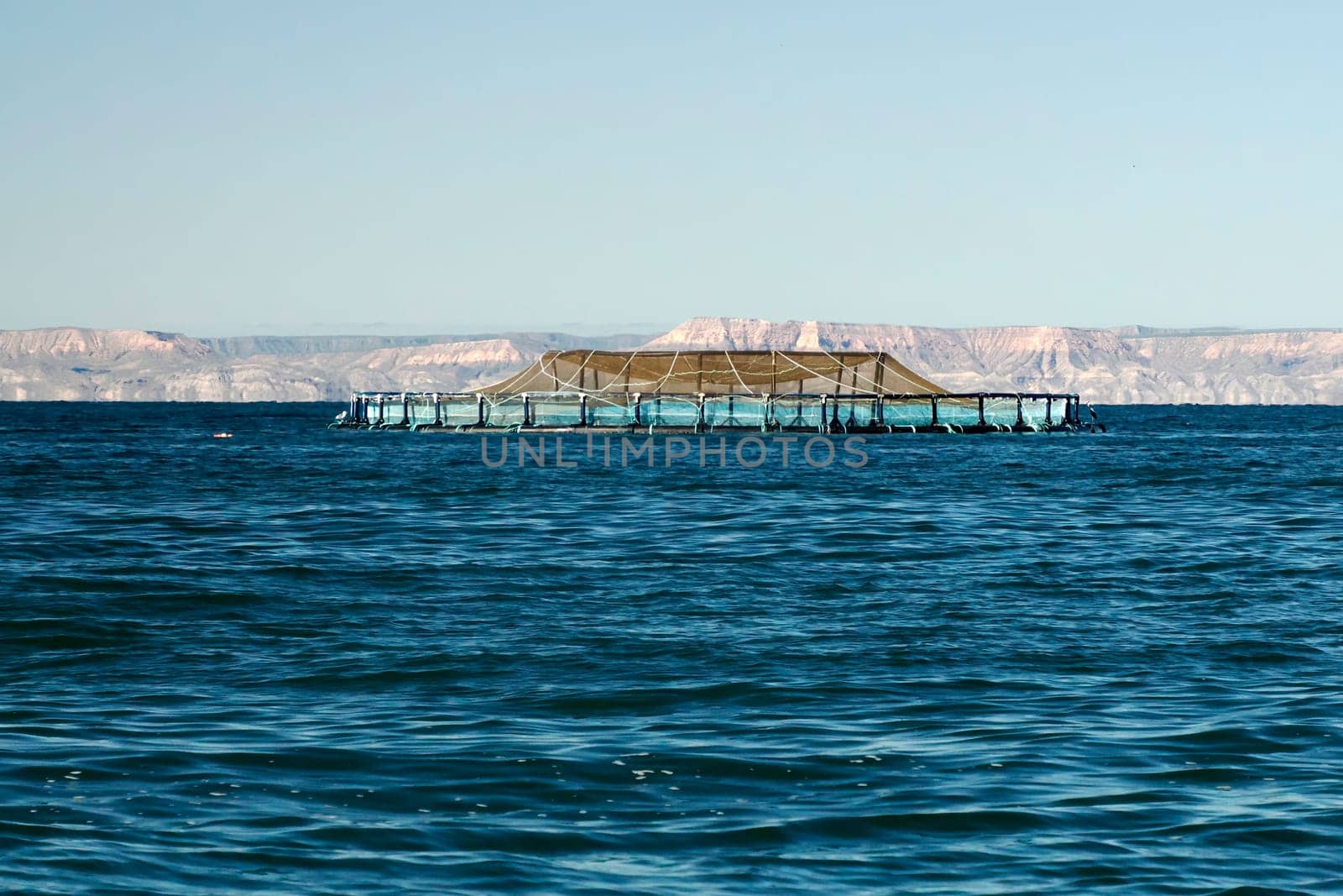 Fish farm in cortez sea baja california sur landscape from boat by AndreaIzzotti