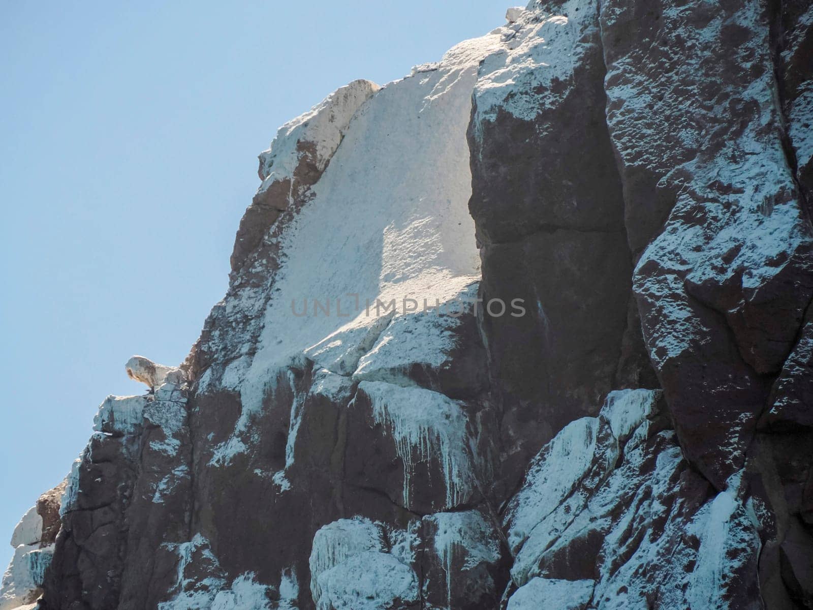 A white birds droppings rock in cortez sea baja california sur landscape from boat