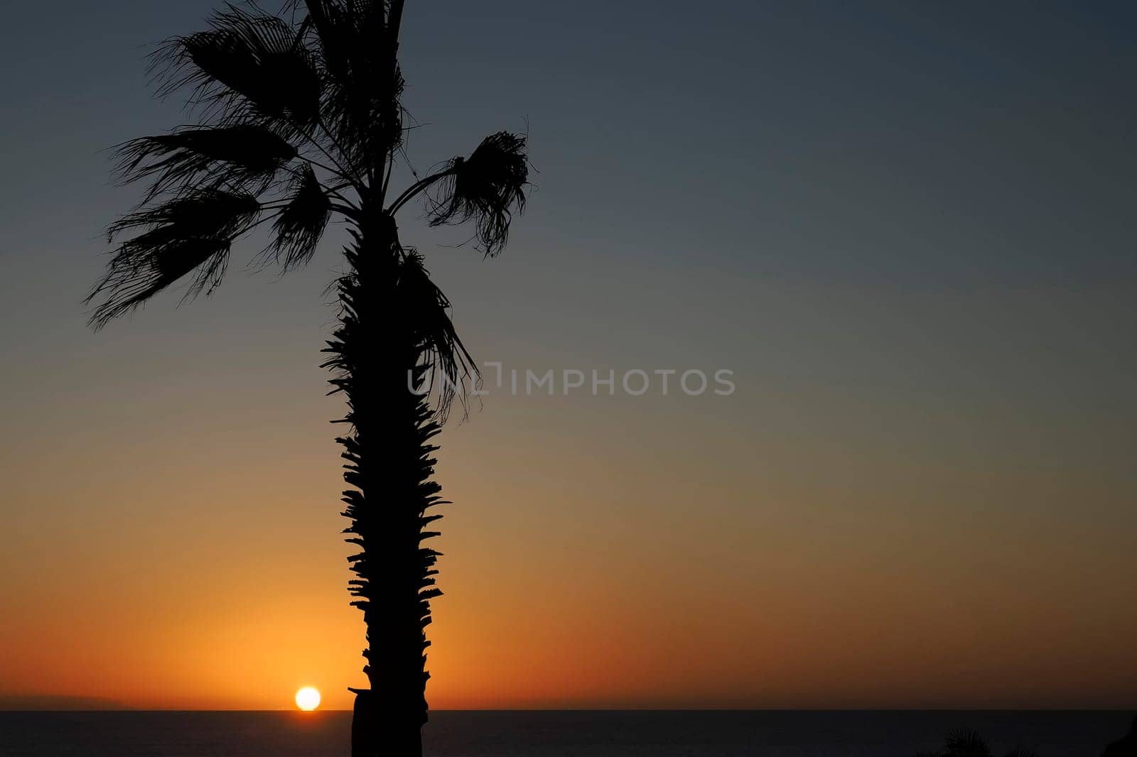 A Wonderful golden sunset over Pacific Ocean in todos santos mexico baja california sur