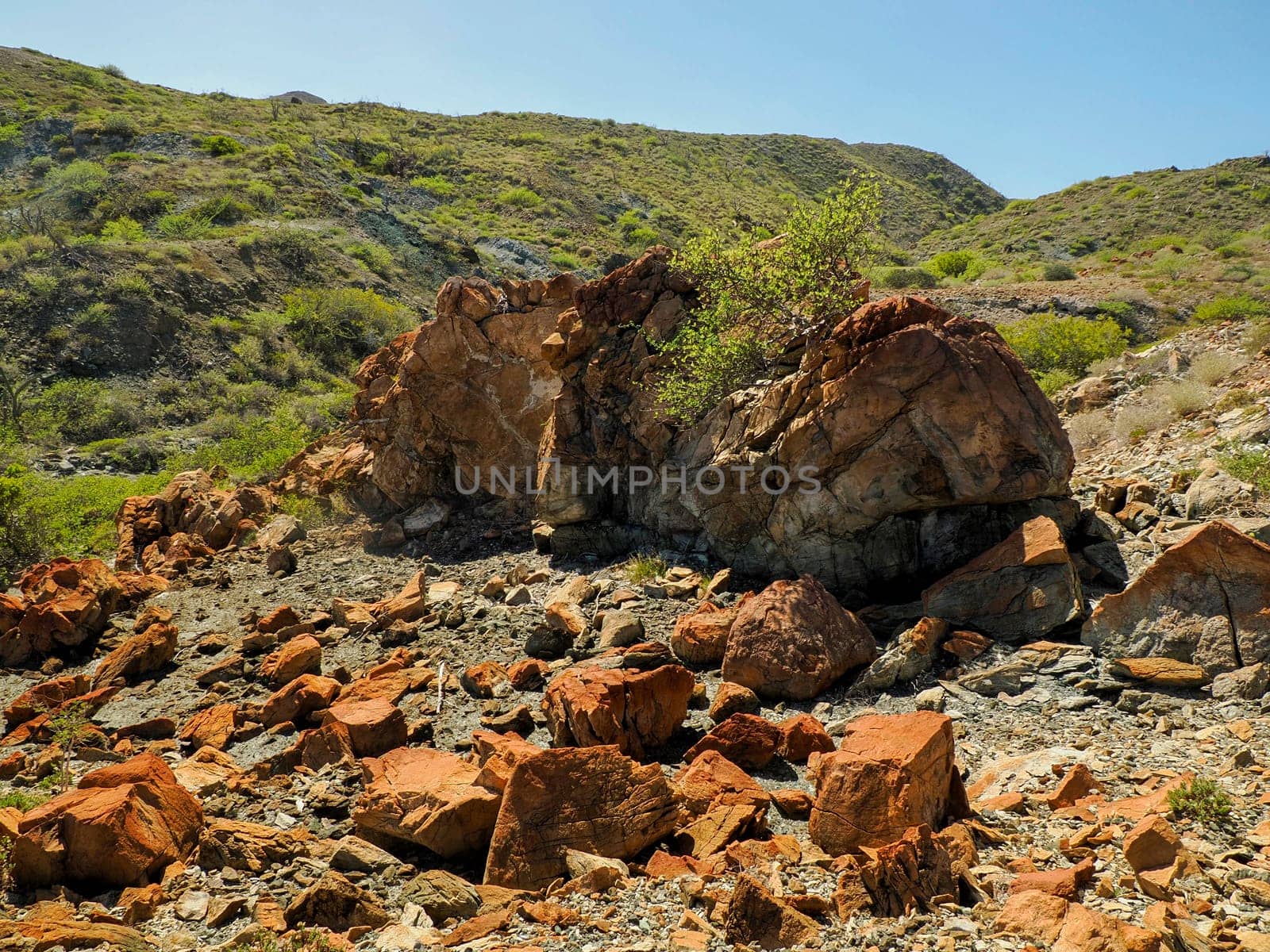 Volcanic rocks in Magdalena bay Isla Santa Margarita baja california sur by AndreaIzzotti