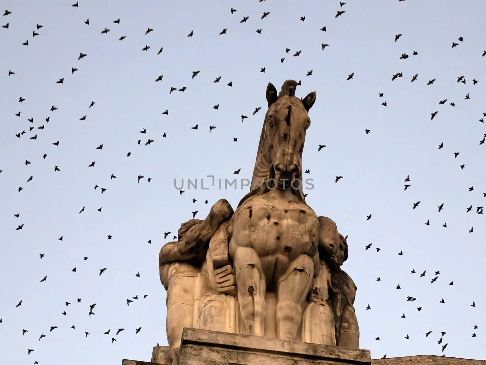 many birds flying outside milan Central rail station at night by AndreaIzzotti