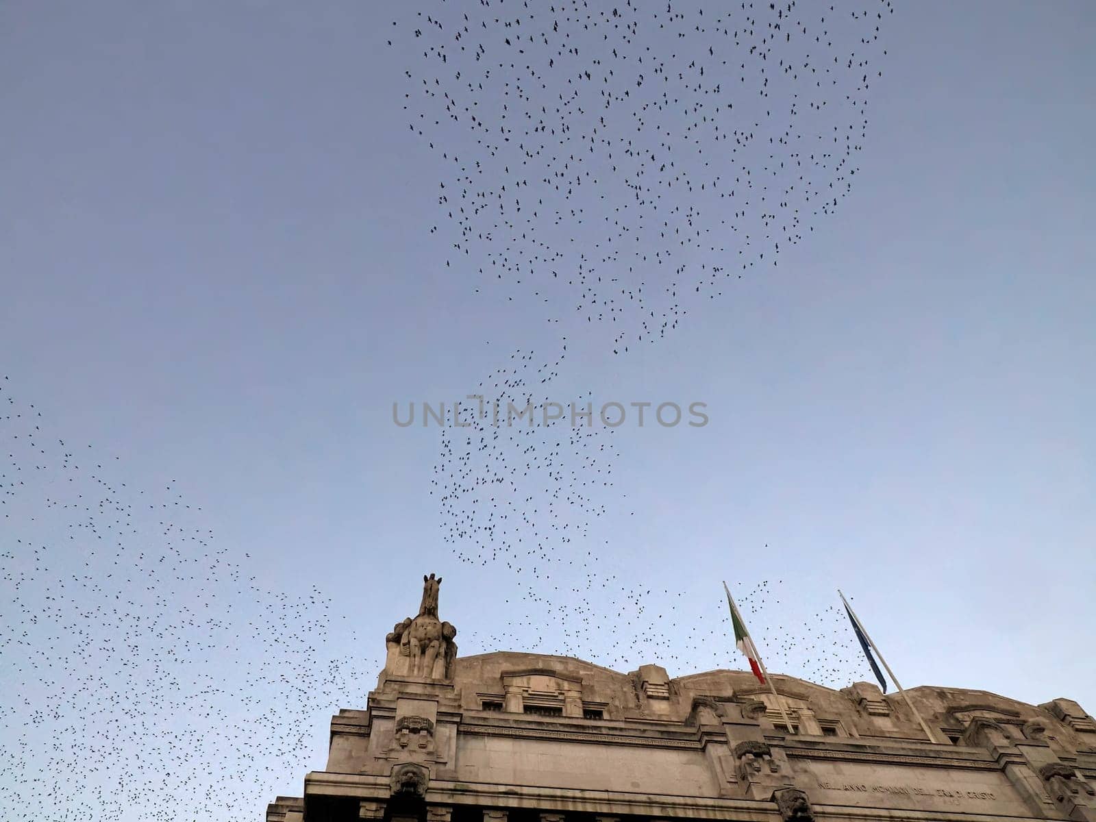 many birds flying outside milan Central rail station at night Italy