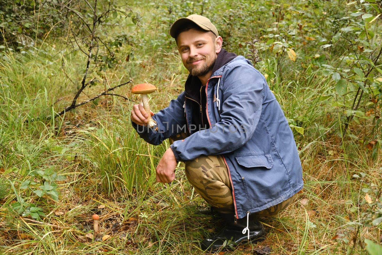 A mushroom picker holds in his hands an aspen bush growing in the forest. Mushrooms in the forest. Mushroom picking by Lobachad