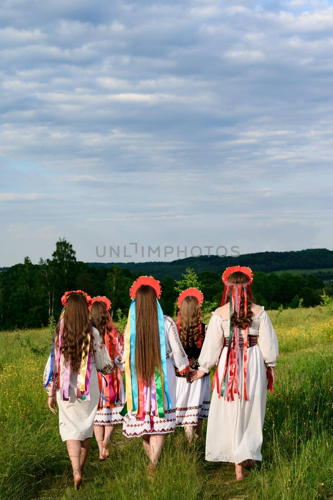 A group of girls are walking in a field, they are dressed in Ukrainian ethnic and national clothes, they have crowns with ribbons on their heads.