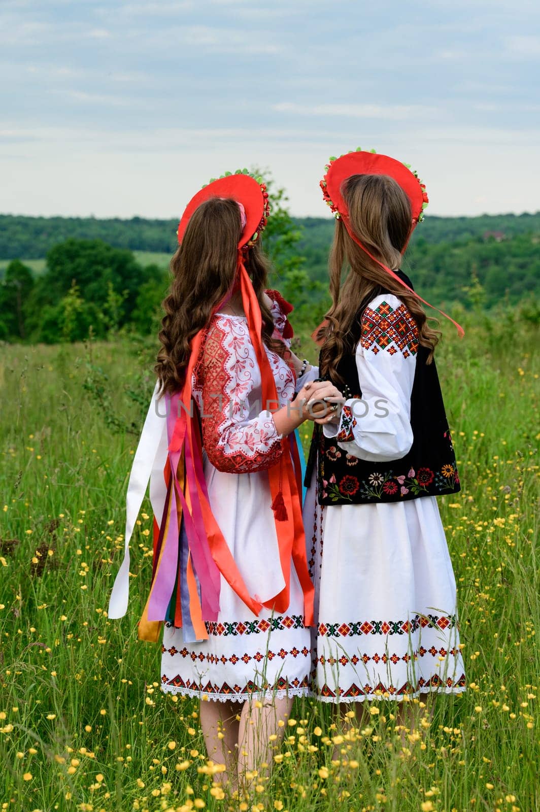 A group of girls are walking in a field, they are dressed in Ukrainian ethnic and national clothes. by Niko_Cingaryuk