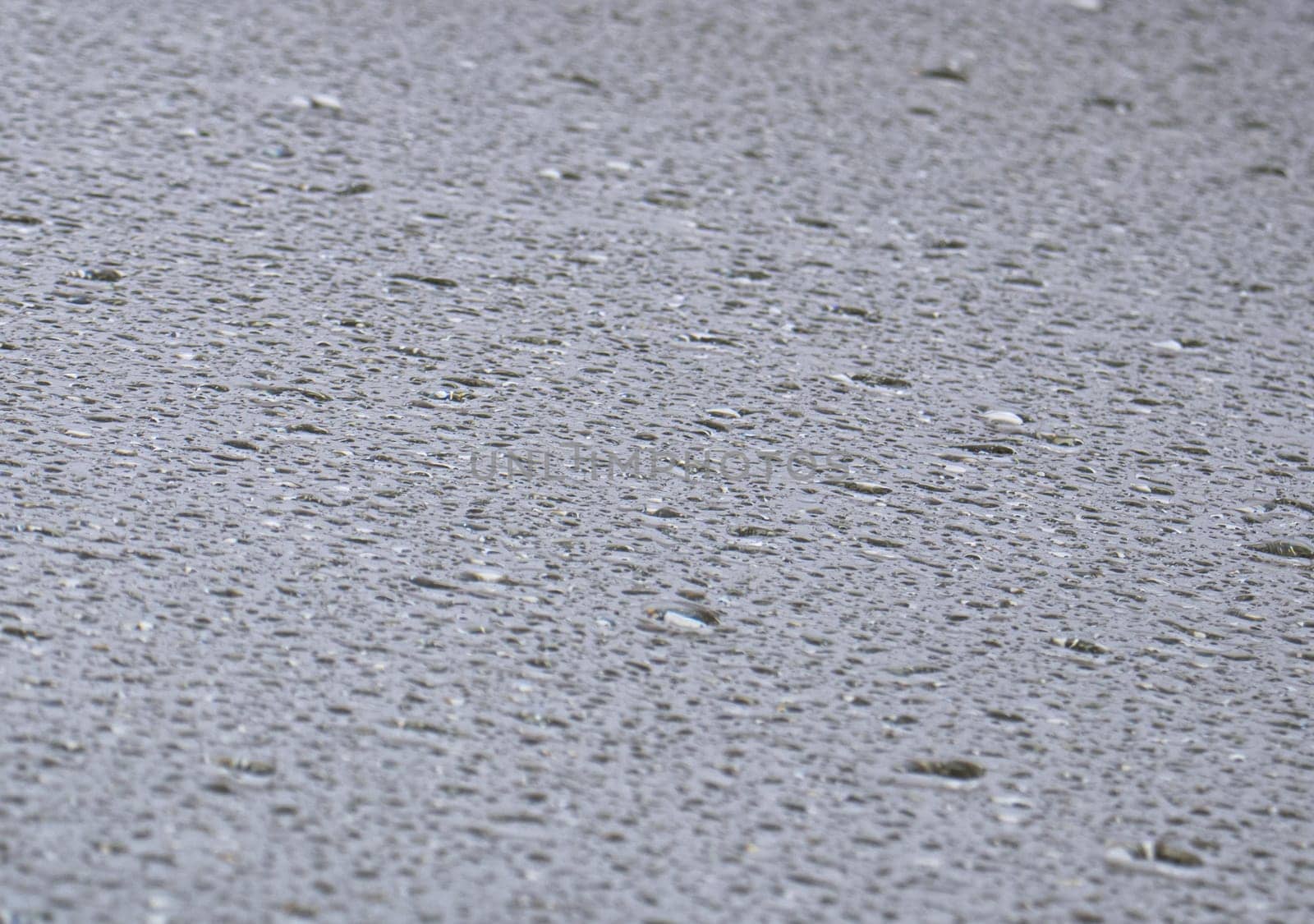 Close-up view on water drops on window in rain. Drops of rain on the glass concept photo. Front view photography with blurred background. High quality picture