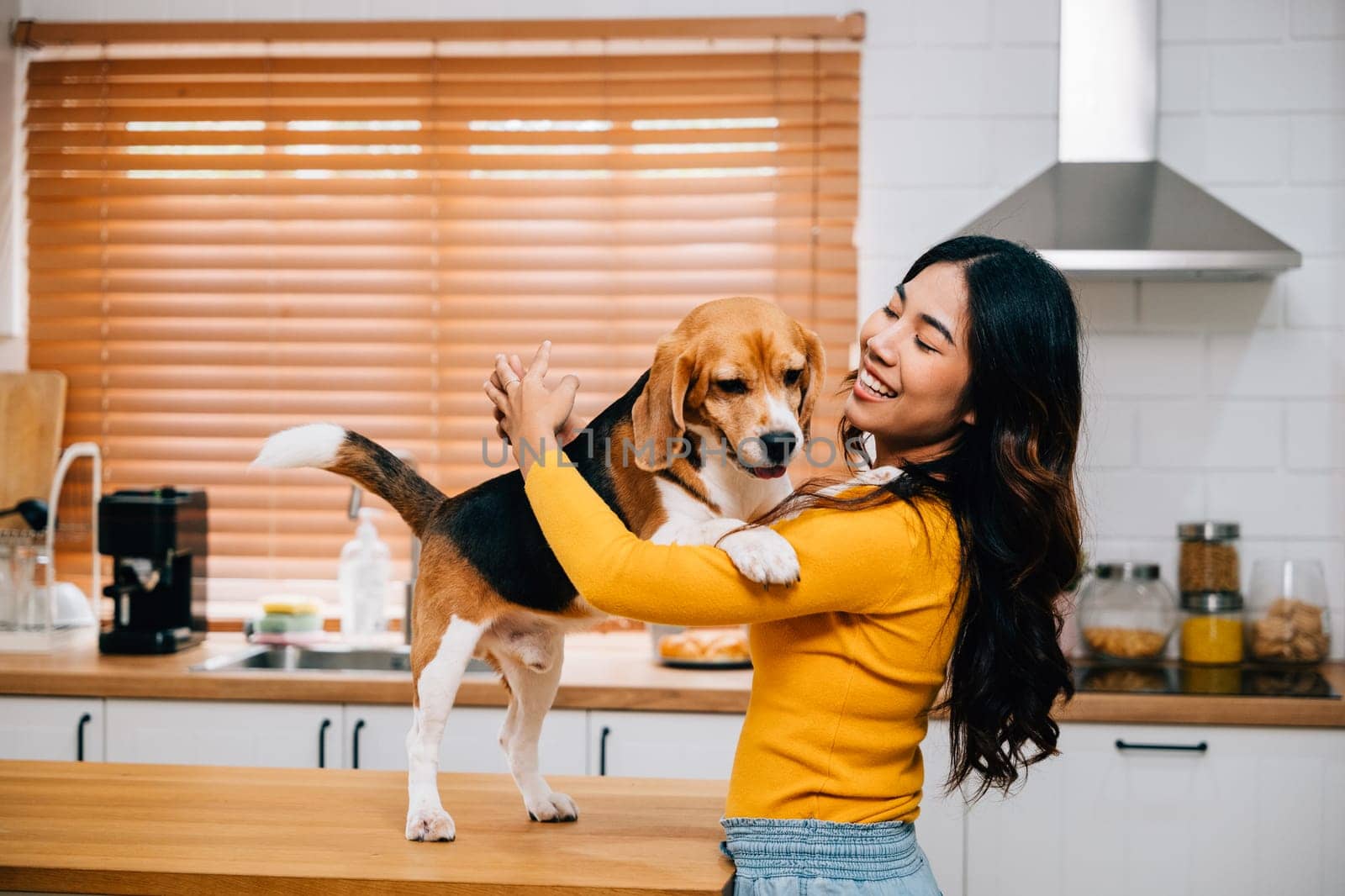 In the cozy kitchen, a smiling Asian woman finds joy playing with her Beagle dog. Their bond showcases the happiness, togetherness, and owner-pet friendship that bring fun to the family. Pet love