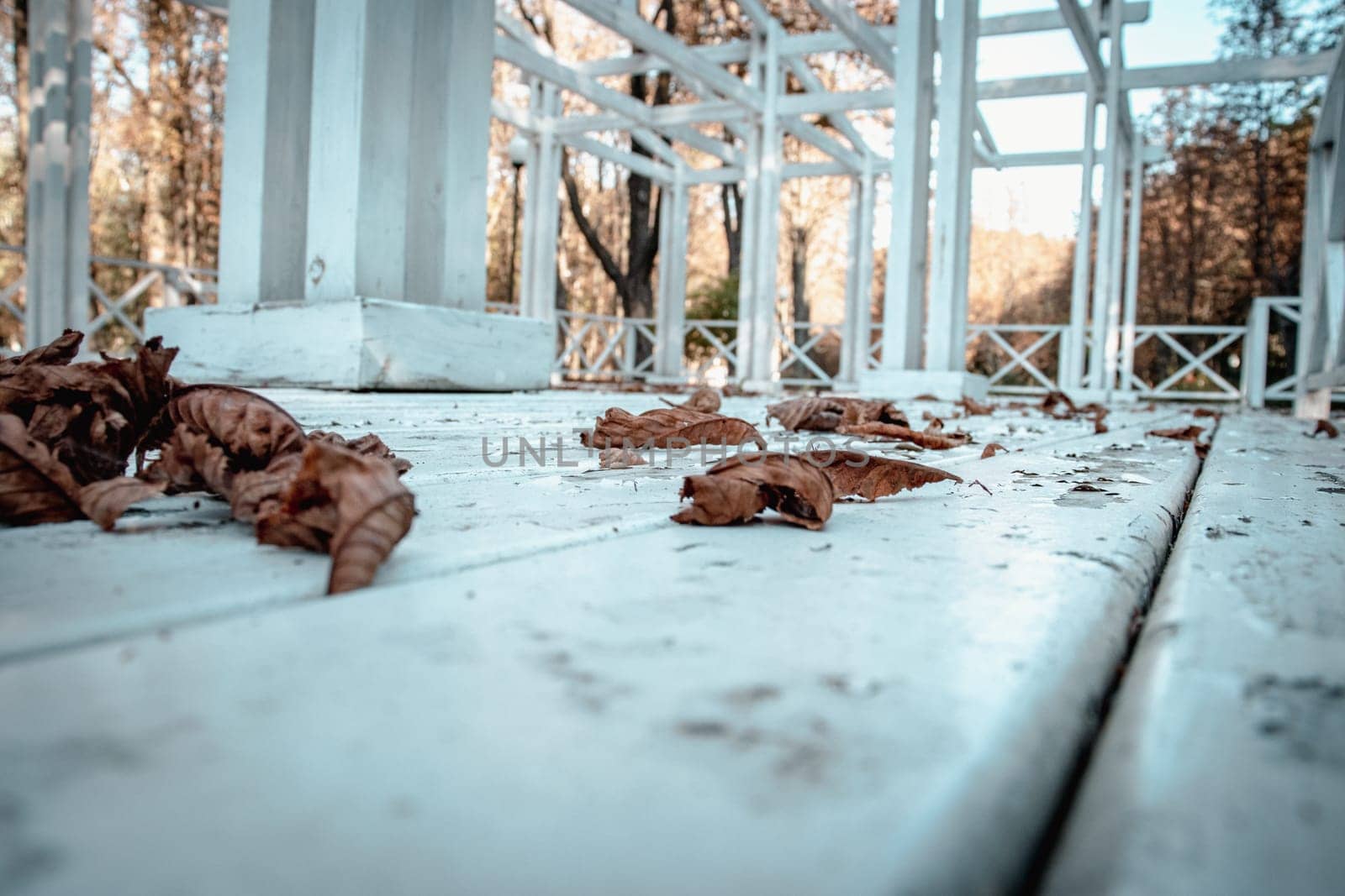 Close up vintage old white wooden textured floor concept photo. View of the wooden white gazebo in the garden. Parkland autumn of European town. High quality altanka picture for wallpaper