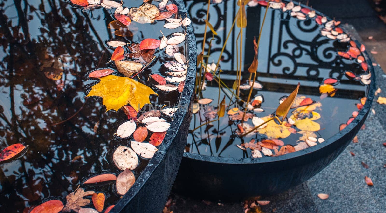 Close up view of a garden pond with autumn leaves concept photo. Fall season, red leaf in a pots. by _Nataly_Nati_