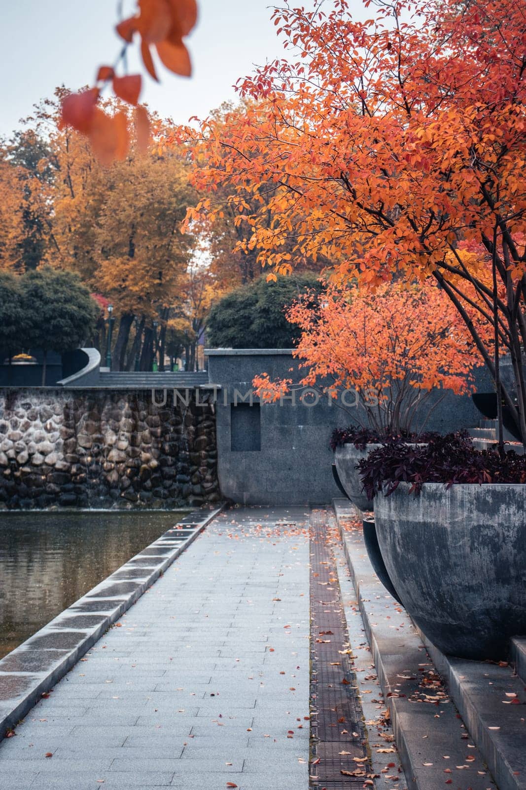 Autumnal morning near water concept photo. Autumn in the public park. Idyllic scene, fall season, red trees in a pots. High quality picture for wallpaper, travel blog.