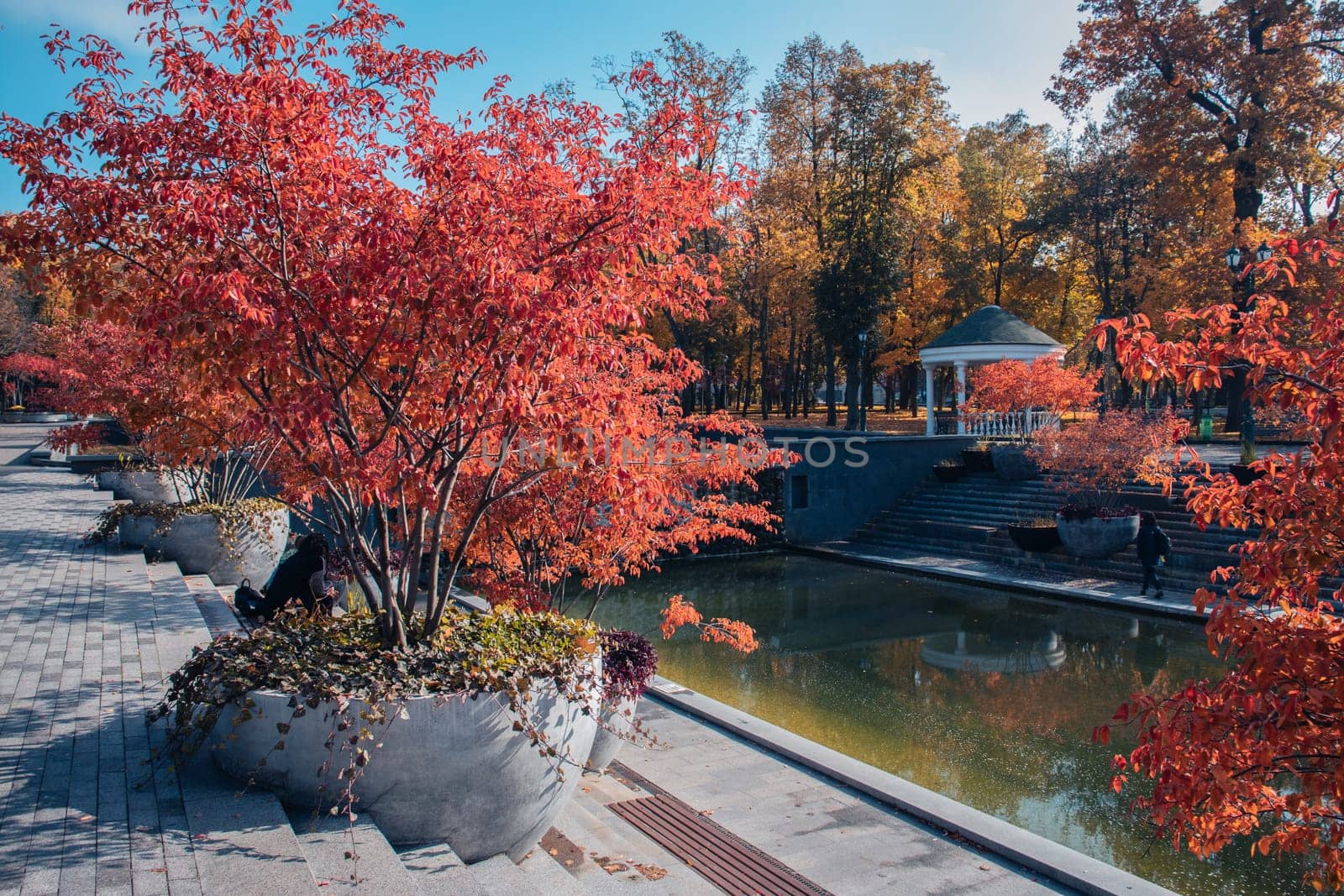 Autumn sunny morning near water concept photo. Public park by _Nataly_Nati_