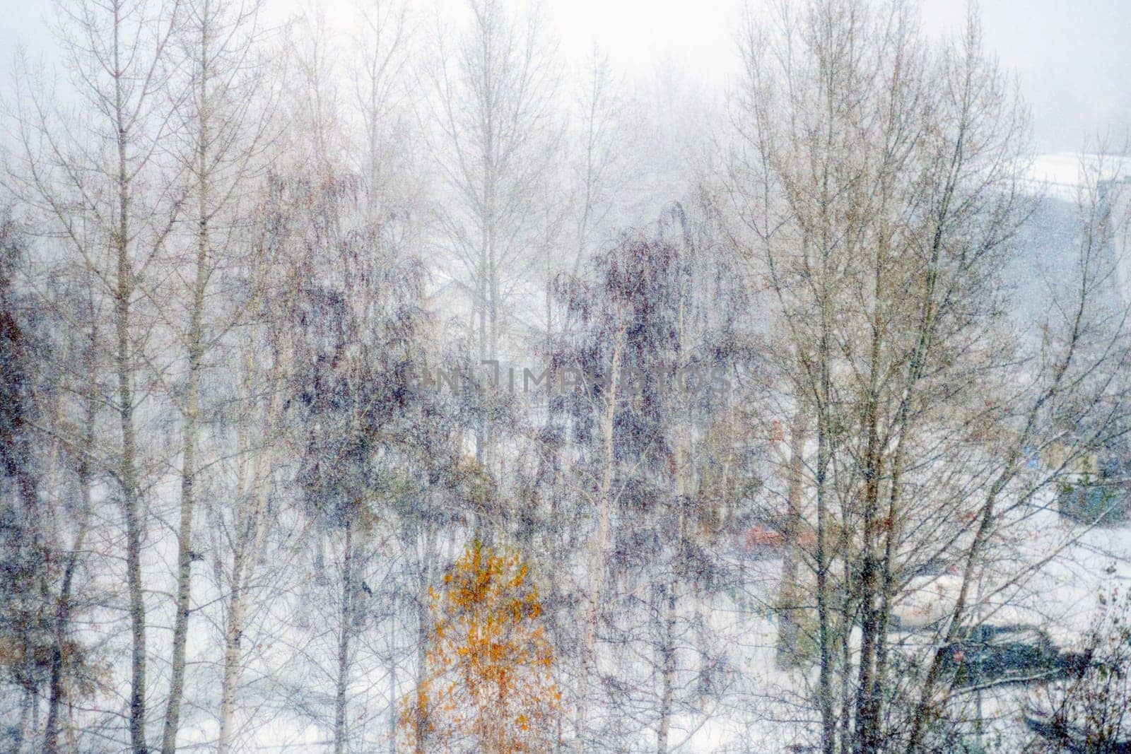 Defocused winter background with snowfall and copy space. Magic forest copy space