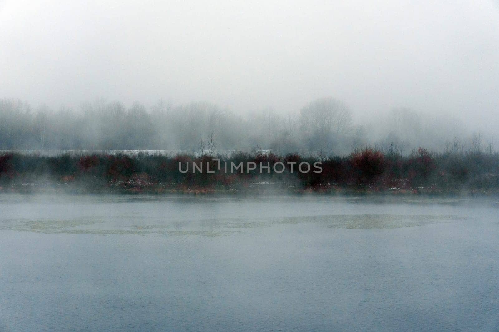 Foggy lake with trees in the background, mystical Landscape of a Lake