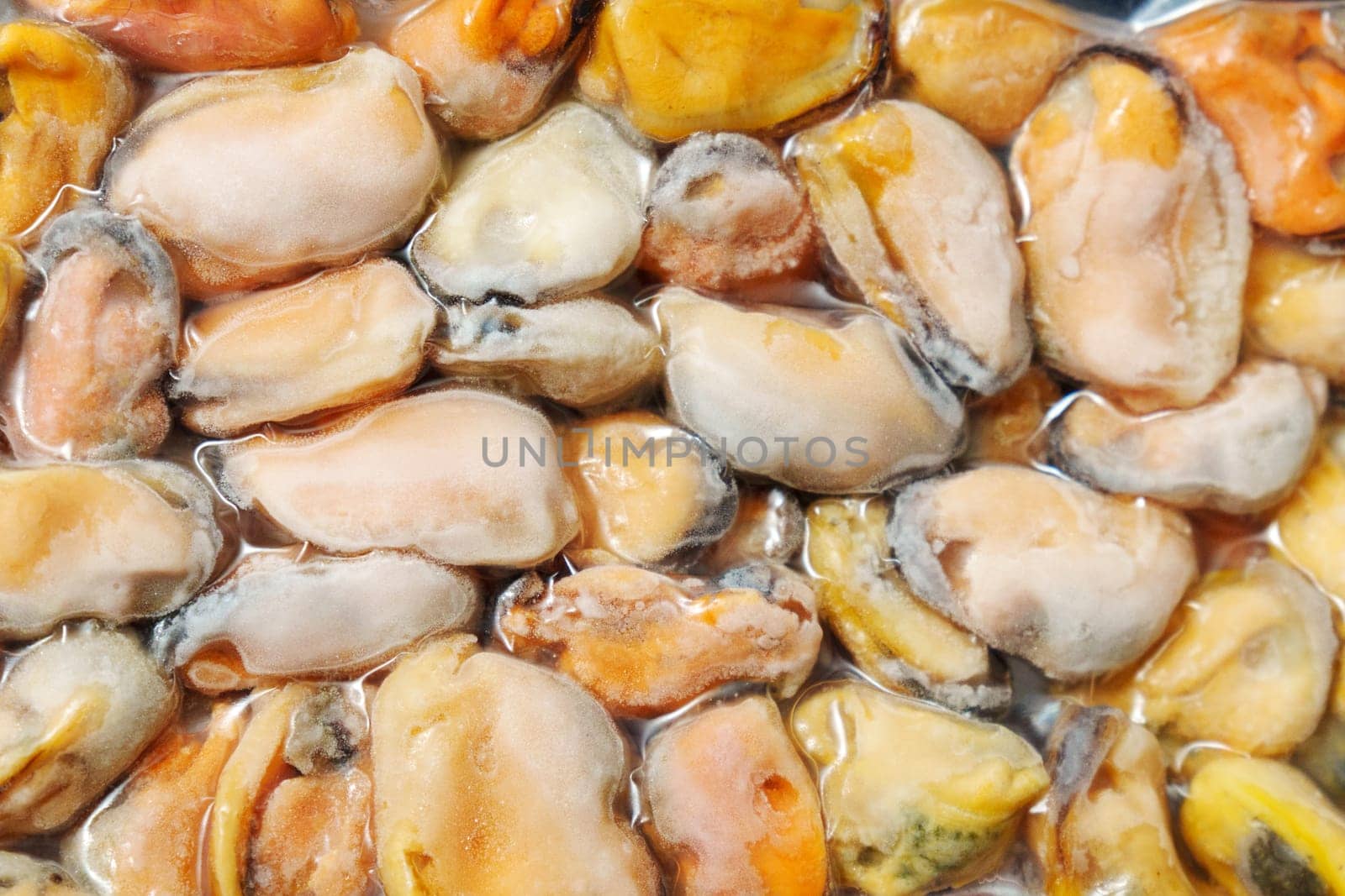 Frozen mussels background. Frozen seafood. Wholesale of fish. Peeled mussels by darksoul72