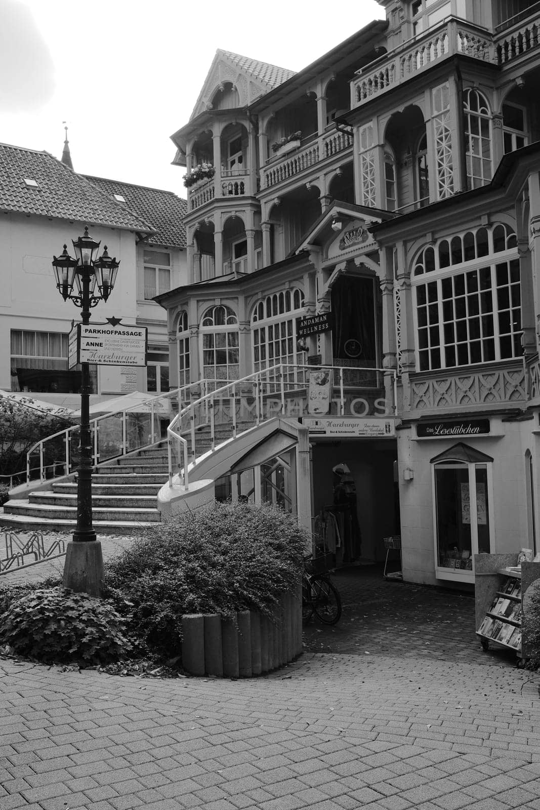 Vertical grayscale shot of a decorative classic villa in Bad Harzburg, Germany by rherrmannde